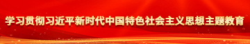 老女人BB学习贯彻习近平新时代中国特色社会主义思想主题教育